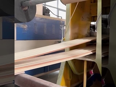 WPC ألواح الحائط الصوتية المقاومة للماء والرطوبة