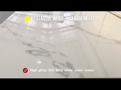 لوحة حائط داخلية من الرخام من بي تي إيه ودية للبيئة لوحة حائط من الفحم الخشبية