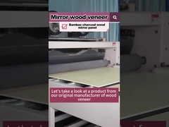 منتج مبيع ساخن 5MM 8MM الخشب الحبوب الخشب الفنير الخيزران الفحم الحجري لوح الجدار PVC