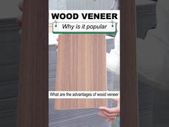 الصلبة الداخلية الديكور 1.22 م عرض الخشب الحبوب القشرة البلاستيكية لوحة الحائط