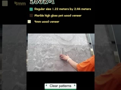 عالية الجودة الطوابق الجدارية الصديقة للبيئة الطوابق الجدارية الداخلية من الرخام