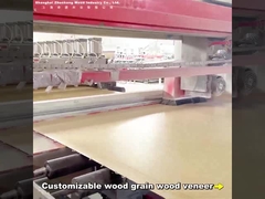 2.44m الخيزران الفحم الحائط لوحة الحائط الحديثة الخفيفة الفاخرة المخصصة الطول PVC الكربون الكريستال