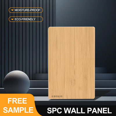 لوحة الحائط SPC الترويج 600*2440*4mm مقاوم للماء الحجر البلاستيكي الصديق للبيئة بسيطة الحائط الحديث الديكور لوحات الحمام والدش